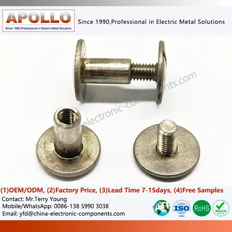 Leather Binding Screw